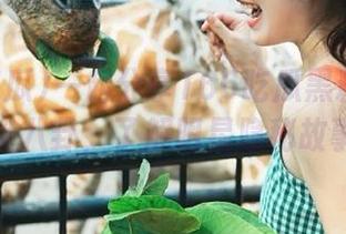 一起分享166吃瓜黑料网的热议八卦，了解明星隐秘故事