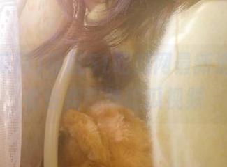 导航51吃瓜网最新消息，观看各类趣味吃瓜视频